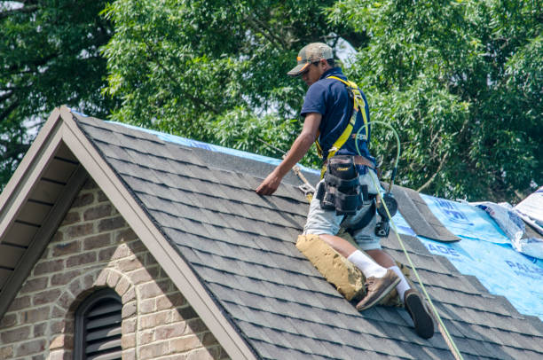 Roof Waterproofing Services in Pawnee, IL